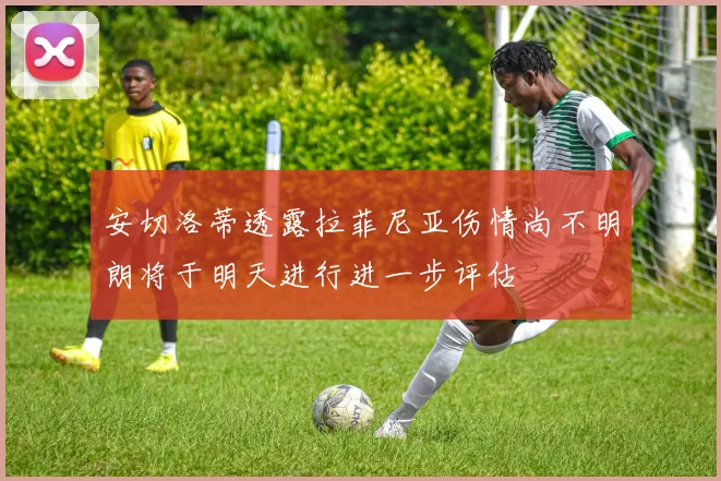 安切洛蒂透露拉菲尼亚伤情尚不明朗将于明天进行进一步评估