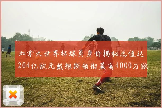 加拿大世界杯球员身价揭秘总值达204亿欧元戴维斯领衔最高4000万欧